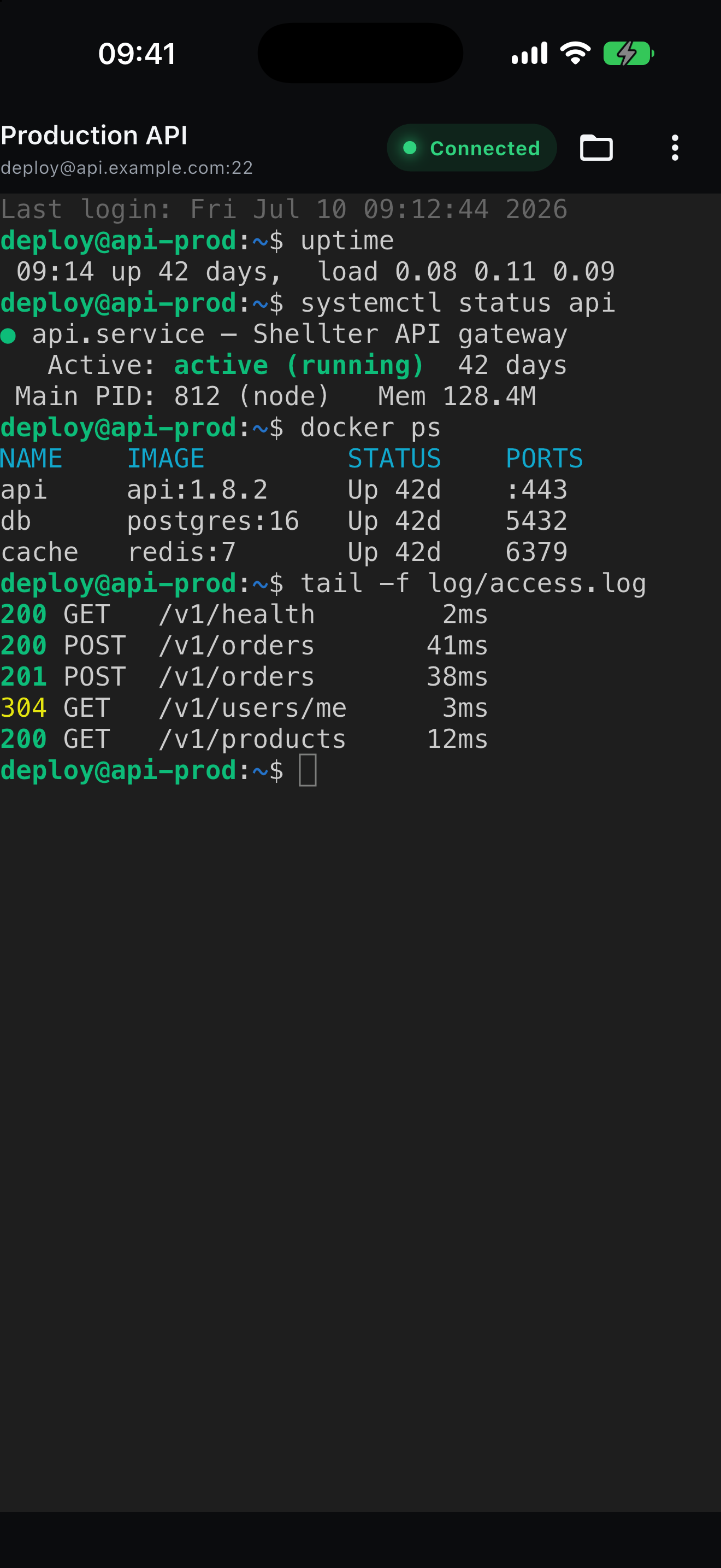 Shellter Terminal screen